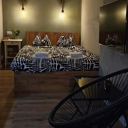 Beethoven Lägenhet Braşov