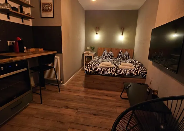 Apartment Beethoven Brasov